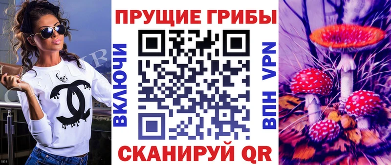 Псилоцибиновые грибы Psilocybine cubensis  Павловская 